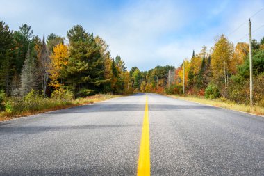 Güneşli bir sonbahar gününde boş orman yolu. Güzel sonbahar renkleri. Ontario, Kanada.