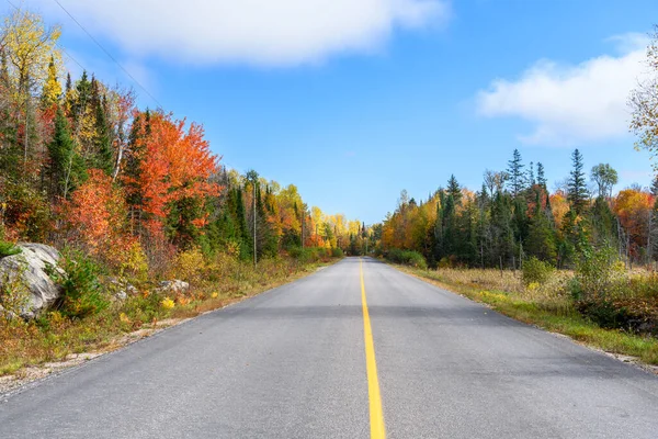 Een Verlaten Weg Door Een Bos Het Hoogtepunt Van Herfstkleuren — Stockfoto