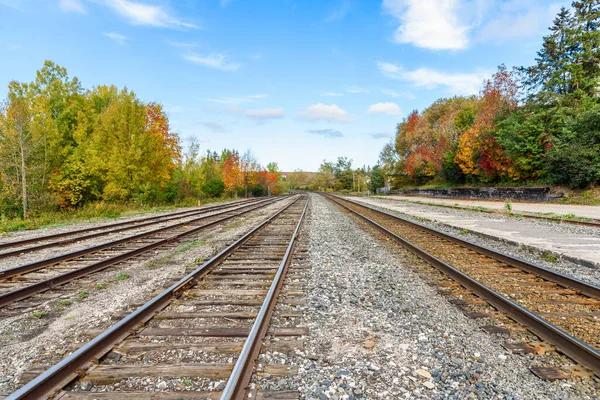 Empty Railway Tracks Lined Colourful Autumnal Trees Train Station Clear — Stock Photo, Image