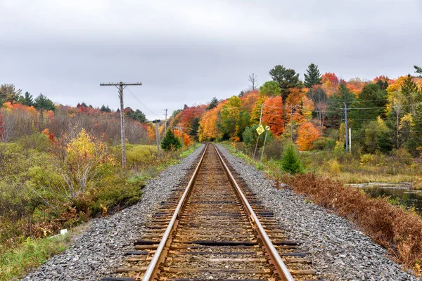 Single Railway Track Forested Landscape Peak Fall Foliage Cloudy Autumn — Stock Photo, Image