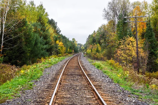 Empty Railroad Tracks Running Forest Overcast Autumn Day — Stock Photo, Image