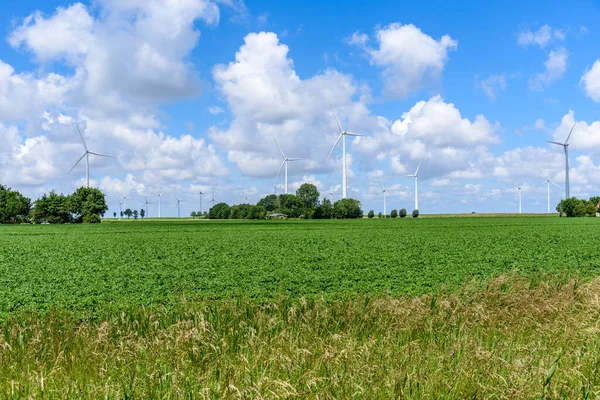 Windpark Ländlicher Landschaft Unter Blauem Himmel Mit Wolken Sommer Eemshaven — Stockfoto