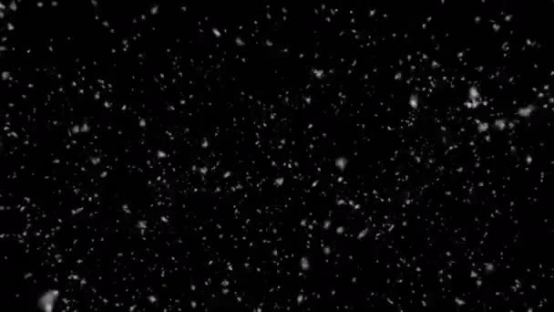 Looping Snow blizzard.Close up.Biger Snowflakes.Snow está caindo down.Animation de queda de neve em fundo preto para Alpha Matte.Winter neve storm.Snowflakes Feliz Natal modelo de cartão de celebração. — Vídeo de Stock