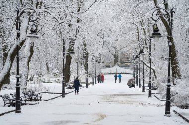 Lviv, Ukrayna, 7 Aralık 2021. İnsanlar karla kaplı parkta yürürler..