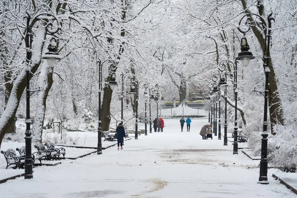 Lviv Ukrayna Aralık 2021 Nsanlar Karla Kaplı Parkta Yürürler — Stok fotoğraf