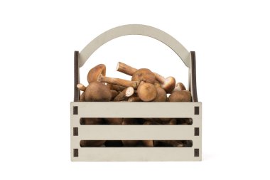 Gri ahşap kutu ve beyaz arka planda izole edilmiş sonbahar mantarları. Ormandan gelen doğal vejetaryen yiyecekler..