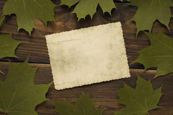 Jesienny Klon Listowie Drewniany Tło Kartka Antyczny Papier Miejsce Tekst — Zdjęcie stockowe
