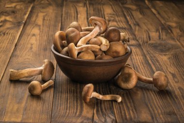 Masaya dağılmış bir kil kase ve yabani mantarlar. Ormandan gelen doğal vejetaryen yiyecekler..