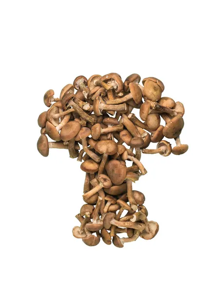 Eine Figur Eines Großen Pilzes Aus Einer Reihe Von Kleinen — Stockfoto