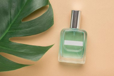 Parfümlü cam bir şişe ve bej arka planda bir yaprak canavar. Doğal kozmetik konsepti. Düz yatıyordu.
