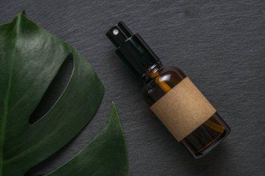 Taş zeminde bir sprey şişesi ve bir yığın canavar. Doğal terapi ve kozmetik konsepti. Düz yatıyordu.