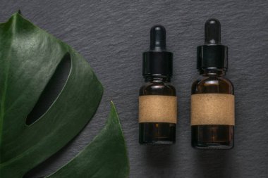 Taş zeminde iki şişe ve bir canavar yaprağı. Doğal terapi ve kozmetik konsepti. Düz yatıyordu.