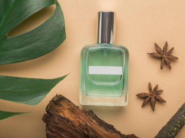 Bej arka planda bir parfüm şişesi bir parça ahşap ve büyük yeşil bir yaprak. Doğal kozmetik konsepti. Düz yatıyordu.