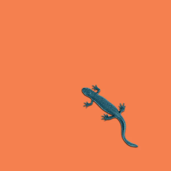 Gekleurde Blauwe Hagedis Een Oranje Achtergrond Kleurtrend Minimalisme — Stockfoto