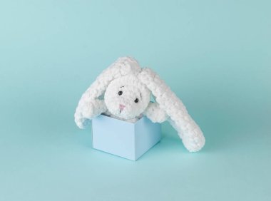 Easter bunny sticking out of a gift box on a blue background. The concept of Easter.
