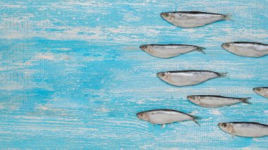 Deniz lahanaları mavi ahşap arka planda, deniz şeklinde. Lezzetli deniz ürünleri aperatifleri. Düz yatıyordu.