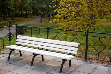 Sonbaharda güzel bir parkta bankta - arka plan, yapraklar ve ağaçlar