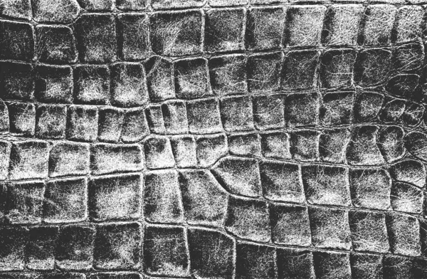 Noodlijdende Overlay Textuur Van Krokodil Slangenhuid Leer Grunge Achtergrond Abstracte — Stockvector