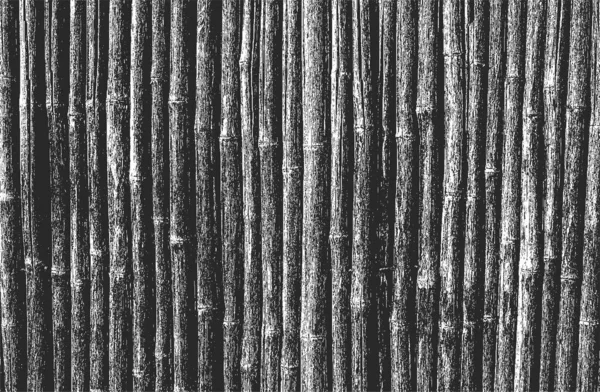 Distressed Superposition Bambou Texture Canne Indienne Fond Grunge Illustration Vectorielle — Image vectorielle