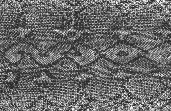 Сжатая Текстура Кожи Крокодила Змеи Гранж Фон Абстрактная Полутоновая Векторная — стоковый вектор