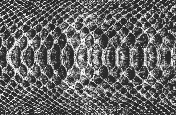 Textura Superpuesta Angustiada Piel Cocodrilo Serpiente Fondo Grunge Ilustración Abstracta — Archivo Imágenes Vectoriales