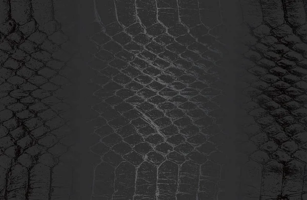 Fondo Gradiente Metal Negro Lujo Con Cocodrilo Angustiado Serpiente Piel — Vector de stock