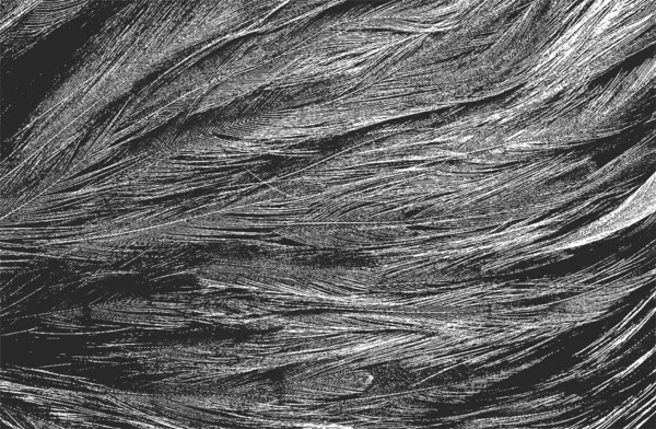 Distressed Overlay Textur Aus Natürlichem Fell Vogelfeder Grunge Vektor Hintergrund — Stockvektor