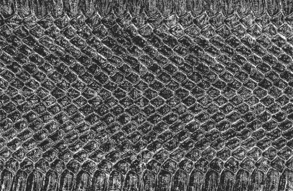 Textura Superpuesta Angustiada Piel Cocodrilo Serpiente Fondo Grunge Ilustración Abstracta — Vector de stock