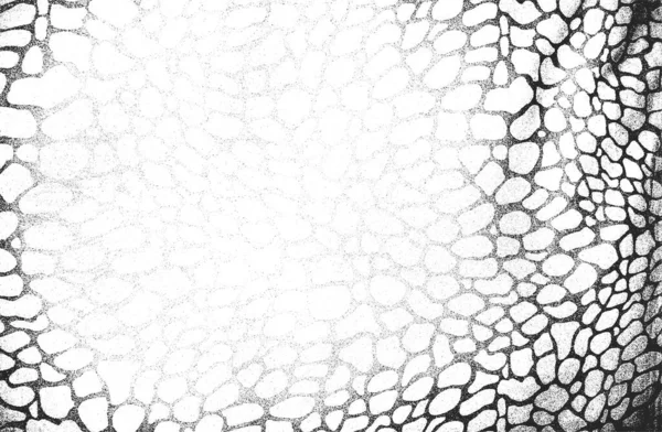 Texture Superposition Perturbée Tissu Textile Avec Ornement Floral Oriental Feuilles — Image vectorielle