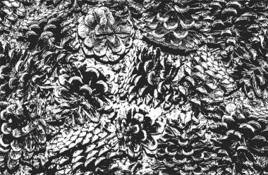 Çam kozalaklarının yakın çekim deseni, iğneler. Grunge siyah beyaz arka plan. soyut yarım ton vektör çizimi