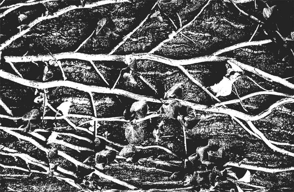 Distressed Superposition Texture Branche Bois Fond Grunge Illustration Vectorielle Abstraite — Image vectorielle