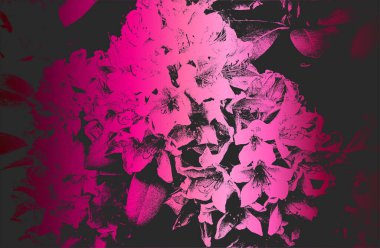 Şatafatlı siyah metal eğimli arka plan. Sıkıntılı, yakın plan çiçekleri çiçek açıyor ve deseni çizgilerle kaplıyor. Vektör illüstrasyonu