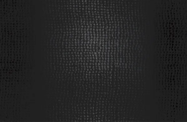 色泽艳丽的黑色金属斜纹底色 有遇险面料 纺织品质感 矢量说明 — 图库矢量图片