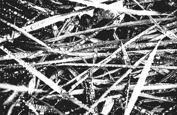 Gestoorde Overlay Gras Stam Textuur Grond Grunge Zwart Wit Achtergrond — Stockvector