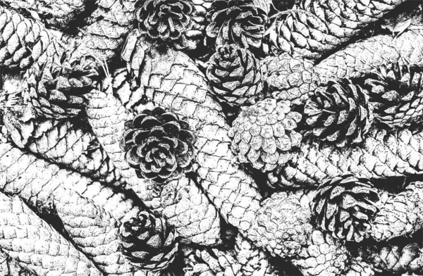Στενοχωρημένη Επικάλυψη Closeup Υφή Κουκουναριού Βελόνες Grunge Ασπρόμαυρο Φόντο Αφηρημένη — Διανυσματικό Αρχείο