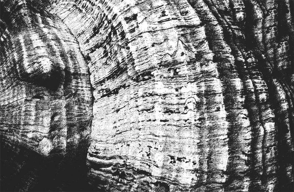 Kapalı Deniz Kabuğu Zırhının Sıkıntılı Örtülü Dokusu Grunge Arka Planı — Stok Vektör