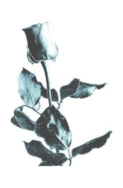 El çizimi çiçek retro tarzı. Tehlike vektör illüstrasyonu