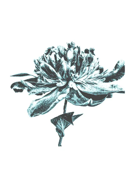手はレトロなスタイルで花を描く 遭難ベクトル図 — ストックベクタ