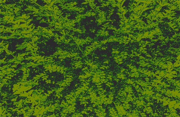 Sobreposição Angustiada Verde Folha Madeira Macro Textura Com Estrias Grunge — Vetor de Stock