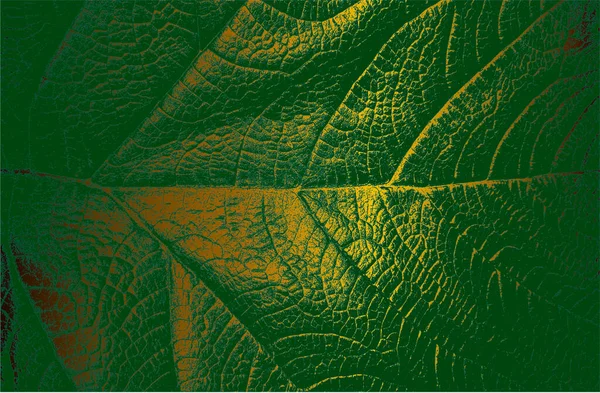 Luxe Doré Fond Dégradé Métal Vert Avec Texture Feuille Gros — Image vectorielle