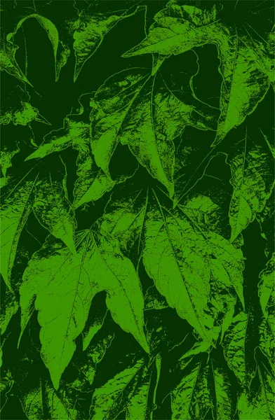 Superposición Angustiada Textura Macro Hoja Madera Verde Con Rayas Grunge — Archivo Imágenes Vectoriales