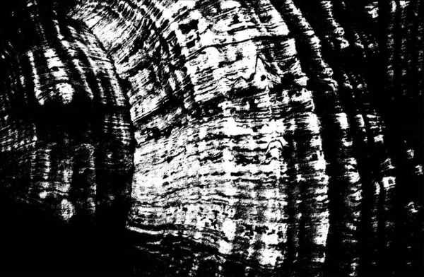 Морская Фауна Изолированном Черном Фоне Морские Моллюски Оболочки Векторная Иллюстрация — стоковый вектор