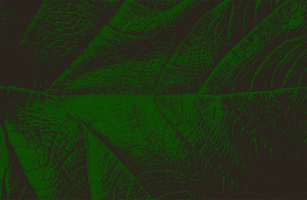 Sovrapposizione Angosciata Macro Texture Foglia Legno Verde Con Striature Grunge — Vettoriale Stock