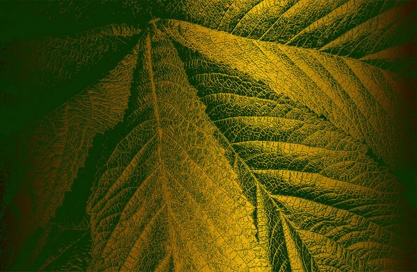 Luxuriöser Goldener Grüner Metall Gradienten Hintergrund Mit Beunruhigender Nahaufnahme Blattstruktur — Stockvektor