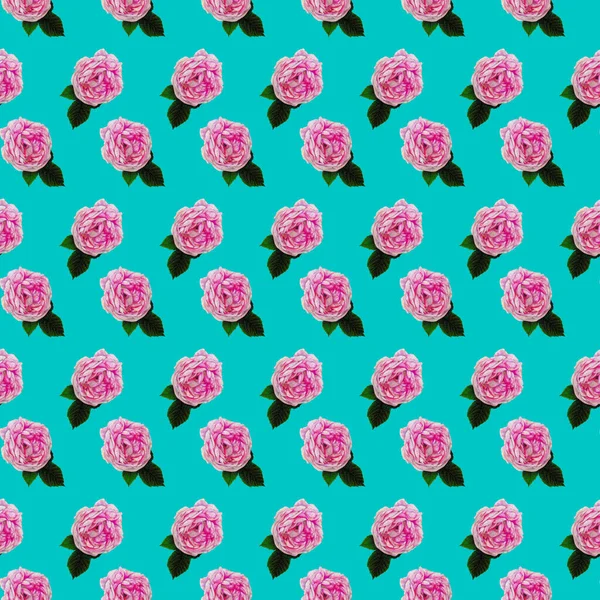 Seamless Pattern Hand Drown Pink Roses Turquoise Background Vintage Illustration — 图库照片