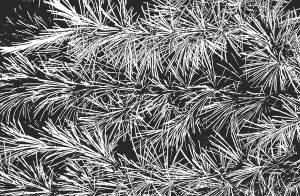 Distressed Overlay Pine Tree Needles Texture Streaks Grunge Black White — Stock Vector