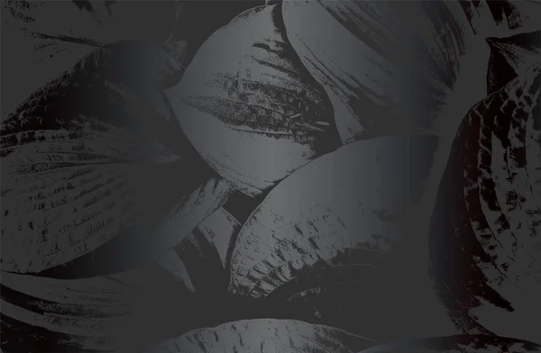 Luxus Fekete Fém Gradiens Háttér Zavaros Closeup Levél Textúra Csíkok — Stock Vector