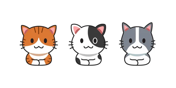 Conjunto Vectores Dibujos Animados Lindos Gatos Para Diseño — Vector de stock