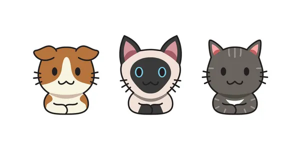 Set Vector Cartoon Cute Cats Design — Stock Vector