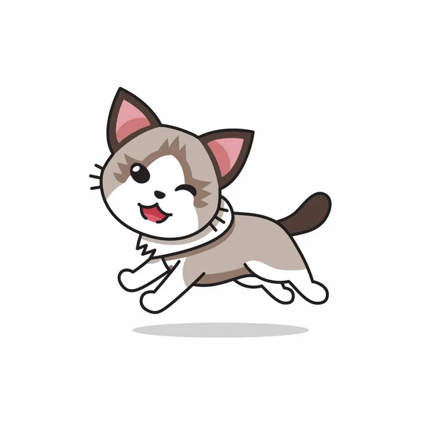 Vector Cartoon Character Ragdoll Cat Running Design — Stock Vector